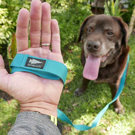 Dog Leash
